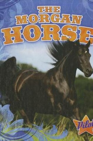 Cover of The Morgan Horse