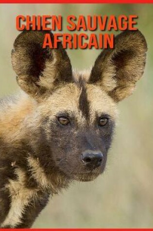 Cover of Chien Sauvage Africain