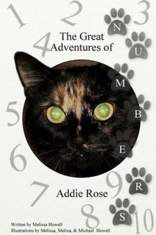 Cover of The Great Adventures of Addie Rose Numbers