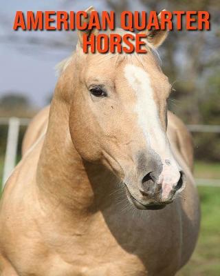 Book cover for American Quarter Horse