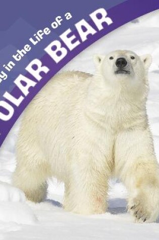 Cover of A Day in the Life of a Polar Bear