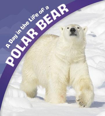 Book cover for A Day in the Life of a Polar Bear