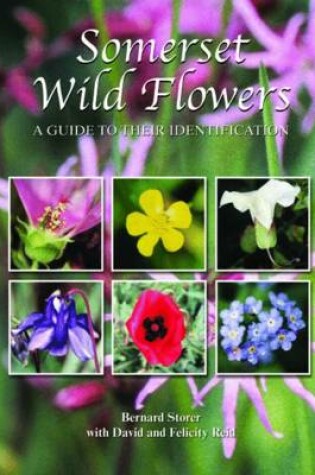Cover of Somerset Wild Flowers