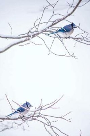 Cover of Blue Jays Bird Wildlife Journal To Write In Notes