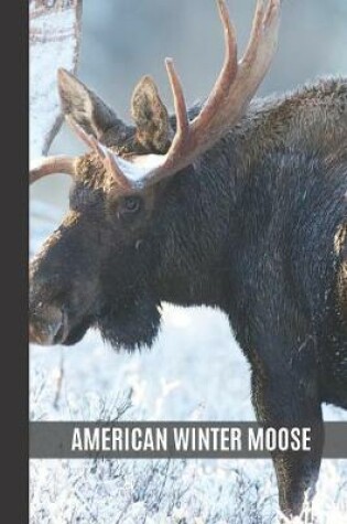 Cover of American Winter Moose