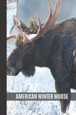 Book cover for American Winter Moose