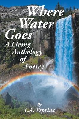 Book cover for Where Water Goes