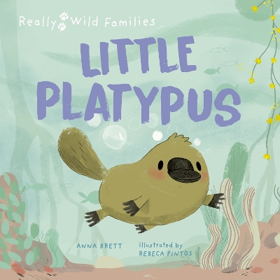 Book cover for Little Platypus
