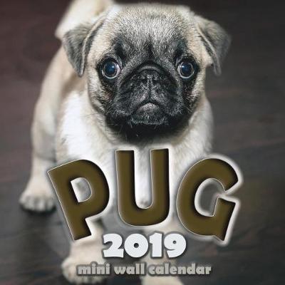 Book cover for The Pug 2019 Mini Wall Calendar