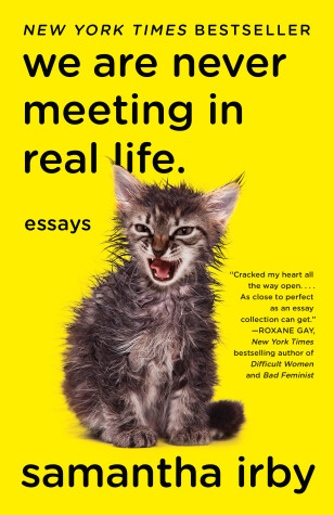 Book cover for We Are Never Meeting in Real Life.