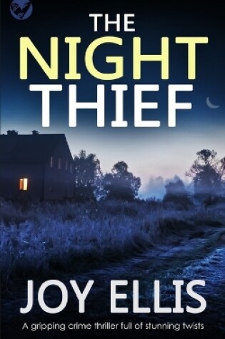 Cover of THE NIGHT THIEF a gripping crime thriller full of stunning twists