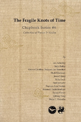 Book cover for The Fragile Knots of Time