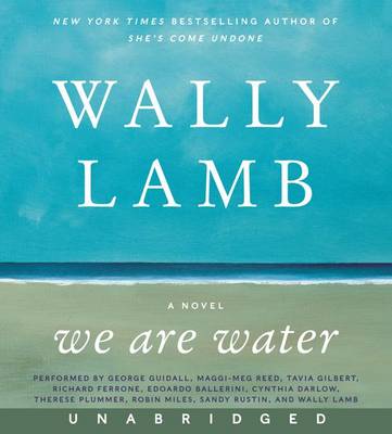 Book cover for We Are Water