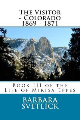 Book cover for The Visitor - Colorado 1869 - 1871