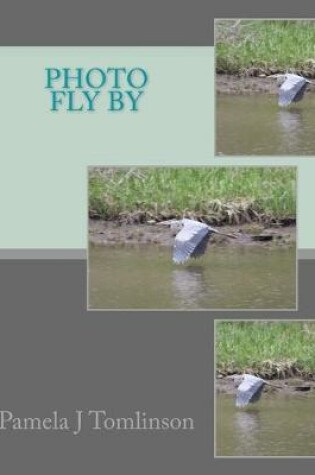 Cover of Photo Fly By
