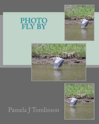 Book cover for Photo Fly By