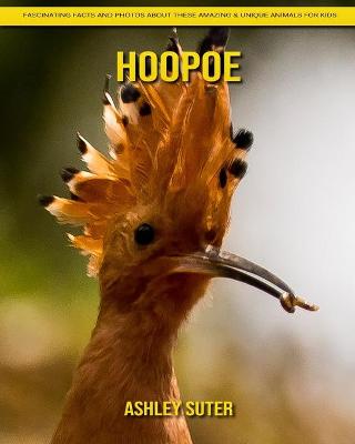 Book cover for Hoopoe