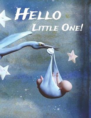 Book cover for Hello Little One!