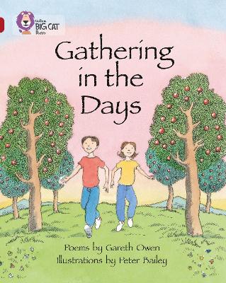 Book cover for Gathering in the Days