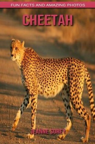 Cover of Cheetah