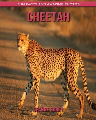 Book cover for Cheetah