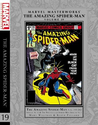 Book cover for Marvel Masterworks: The Amazing Spider-man Vol. 19
