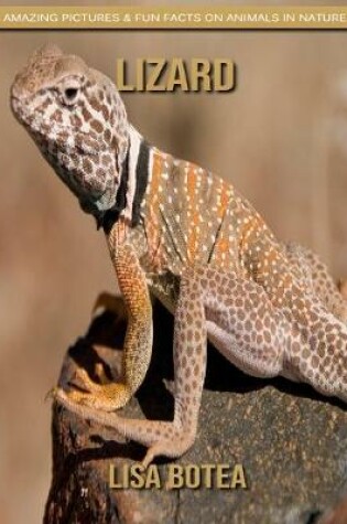 Cover of Lizard