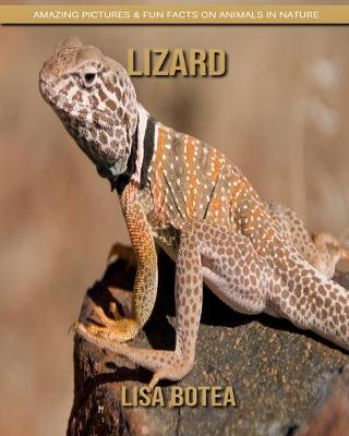 Book cover for Lizard