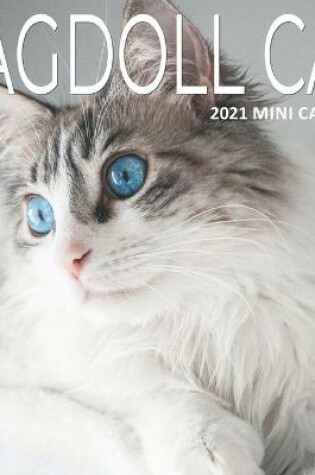 Cover of Ragdoll Cats