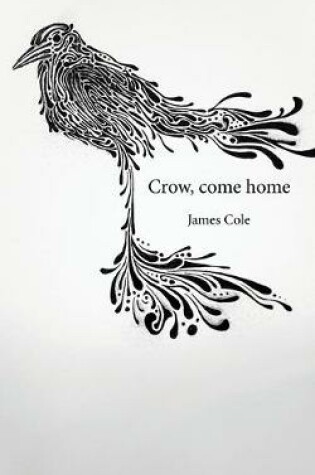 Cover of Crow, come home