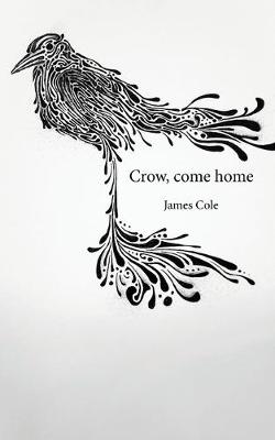 Book cover for Crow, come home