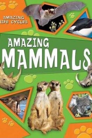 Cover of Amazing Mammals