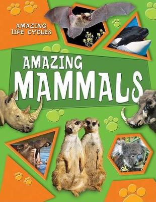 Cover of Amazing Mammals