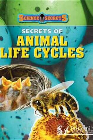 Cover of Secrets of Animal Life Cycles