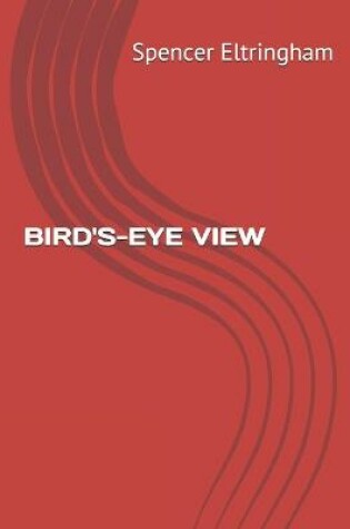 Cover of Bird's-Eye View