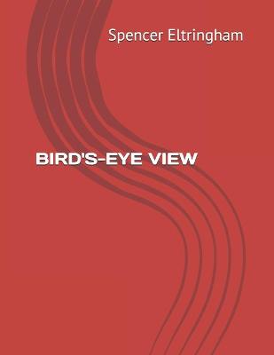 Book cover for Bird's-Eye View