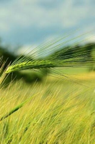 Cover of A Field of Barley Journal