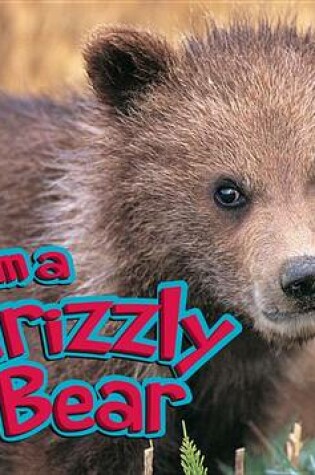 Cover of I Am a Grizzly Bear with Code