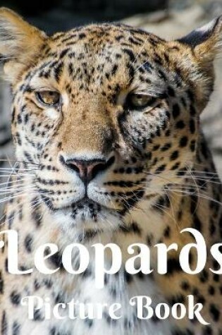 Cover of Leopards Picture Book