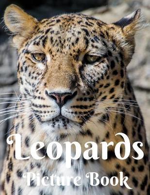 Book cover for Leopards Picture Book