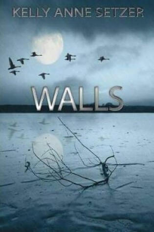 Cover of Walls