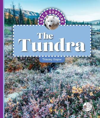 Book cover for Let's Explore the Tundra