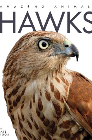 Cover of Hawks