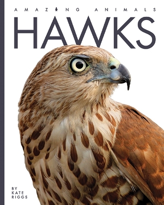 Cover of Hawks