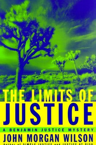 Cover of The Limits of Justice