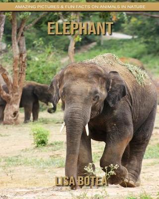 Book cover for Elephant