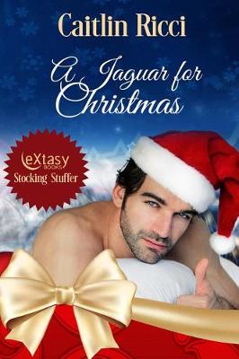 Book cover for A Jaguar for Christmas
