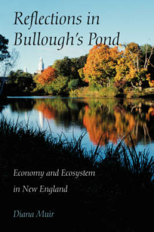 Cover of Reflections in Bullough’s Pond