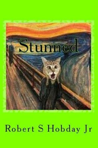 Cover of Stunned