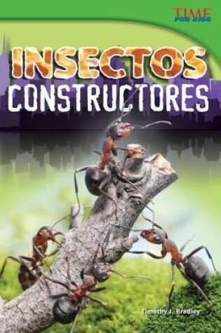 Cover of Insectos constructores (Bug Builders) (Spanish Version)